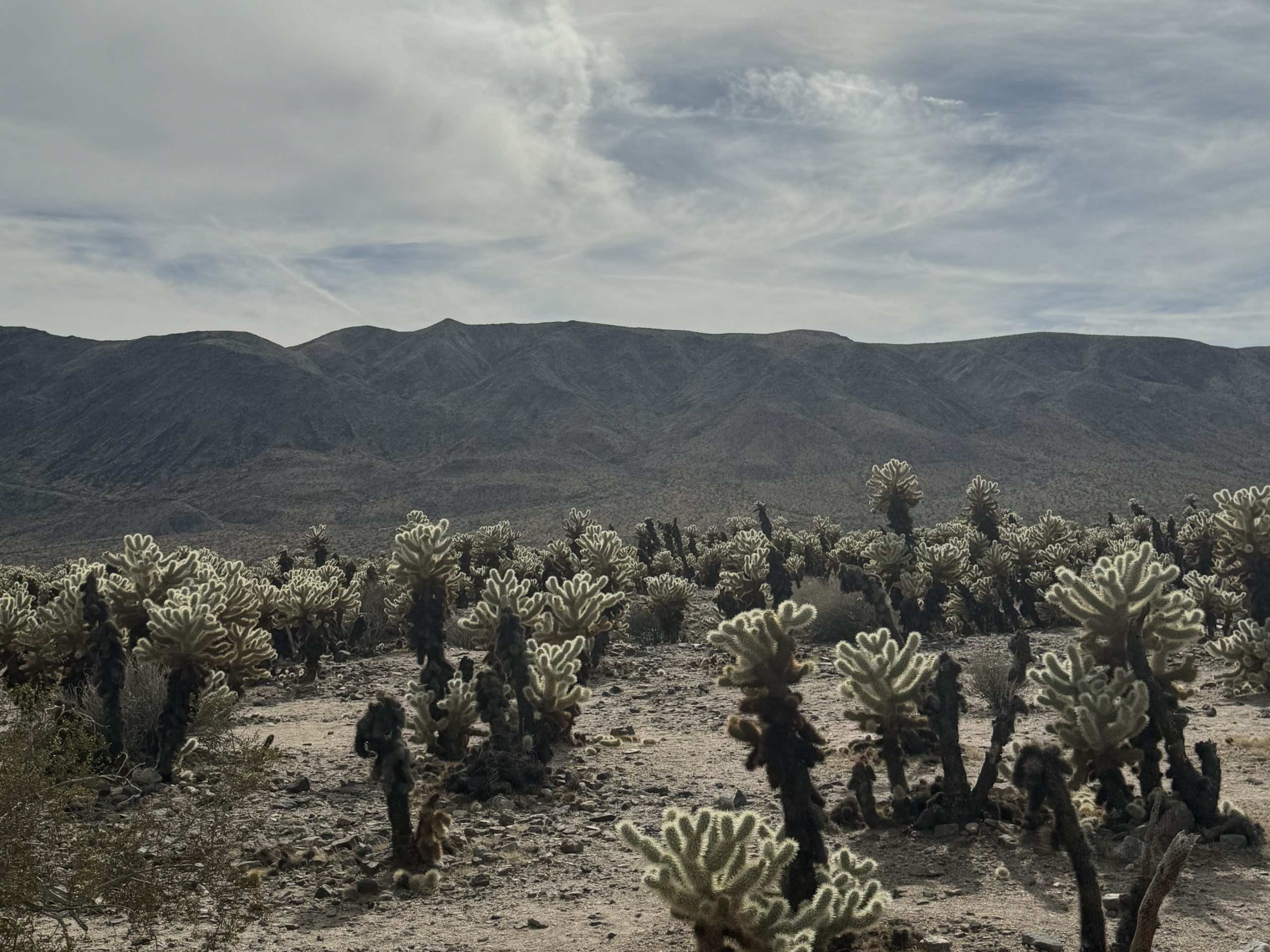 Landscape Products Co.,Ltd.